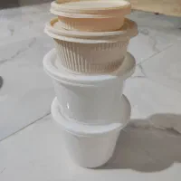 ظروف یکبار مصرف. تابلو.خرده ریز