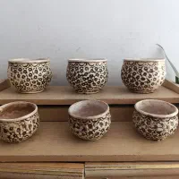 گلدان سفالی زیبا برای روی جاکفشی