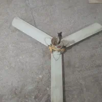 پنکه سقفی|پنکه و تصفیه‌کنندهٔ هوا|چناران, |دیوار