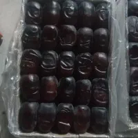 خرما ناب و درجه یک بلوچستان|خوردنی و آشامیدنی|سراوان, |دیوار