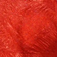 روتختی ساتن نو