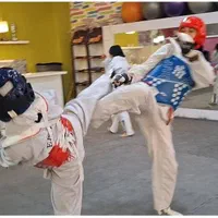 آموزش ورزش المپیکی تکواندو در باشگاه تخصصی تکواندو|خدمات آموزشی|بندرعباس, |دیوار