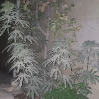 راهنمای از آهنگر
