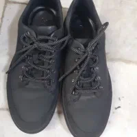 کفش اکو اصل