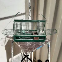 قفس طرقه سهره و قناری|لوازم جانبی حیوانات|ری, اقدسیه|دیوار