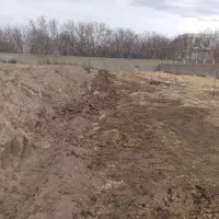 اجاره زمین زراعی برای کشت ینجه