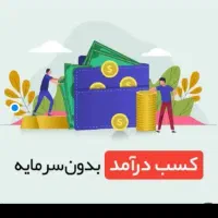 سرمایه شرایطی میخوام