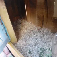 قفس  مناسب سگ . گربه . مرغ . بلدر چین .|لوازم جانبی حیوانات|خوی, |دیوار