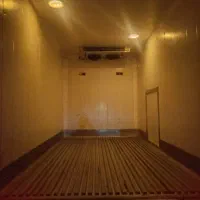 ایسوزو یخچالدار ۵۲۰۰|خودرو سنگین|کرمان, |دیوار