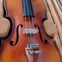 ویولن 4/4 نو