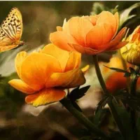 تشک پنبه ای 1 نفره