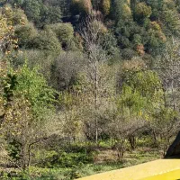 ویلا در شمال کشوراقامتگاه بومگردی شمشاد|اجارهٔ کوتاه‌مدت ویلا و باغ|توتکابن, |دیوار