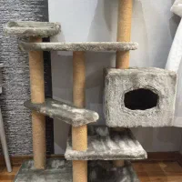 اسکرچر گربه