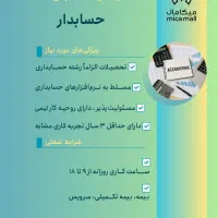 حسابدار حرفه‌ای