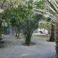 خانه باغ نوساز مبله