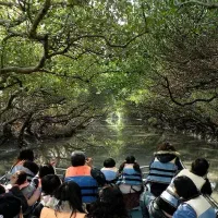 گشت جزیره قشم|تور و چارتر|قشم, |دیوار