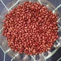 لوبیا قرمز|خوردنی و آشامیدنی|موچش, |دیوار