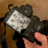 دوربین عکاسی نیکون Nikon|دوربین عکاسی و فیلمبرداری|تهران, استخر|دیوار