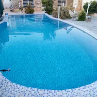 اجاره روزانه ویلا باغ استخر دار آب گرم هفت باغ 11