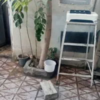 ۸۶مترنبش خیابان معاوضه باآپارتمان