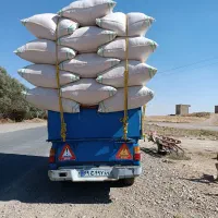 بزرگترین مرکز علوفه فروشی و کاه درجه یک