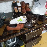 یکعالمه کفش همه اقسام فقد۲۴۰