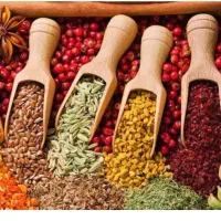 گیاهان دارویی فروش به صورت عمده