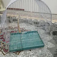 قفس پرنده|لوازم جانبی حیوانات|سرخنکلاته, |دیوار