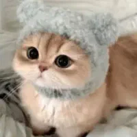 پت شاپ دکتر مصدق|لوازم جانبی حیوانات|گلبهار, شهر جدید گلبهار|دیوار