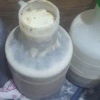 فروش عسل کنار|خوردنی و آشامیدنی|لیکک, |دیوار