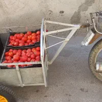 وسیله ی قیقیل|حراج|بناب, |دیوار