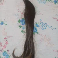 موی طبیعی ۴۰سانت.