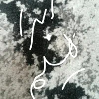 تعدادی مدارک گمشده