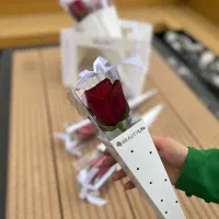تک شاخه رز|گل و گیاه طبیعی|تهران, هروی|دیوار