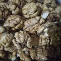 مغز گردو