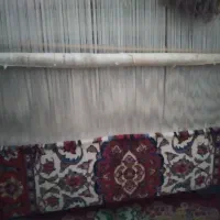 دار قالی|فرش|اراک, |دیوار