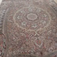 فرش ۹متری رنگ کرم شونهر ۷۰۰شونه تراکم۲۶۰۰ خیلی|فرش|ساری, |دیوار
