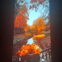 گوشی|موبایل|زنجان, |دیوار