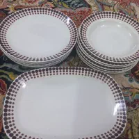 بشقاب وپلوپز برقی