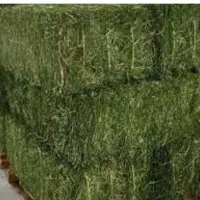 یونجه|حیوانات مزرعه|نورآباد, |دیوار