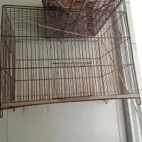 قفس پرنده