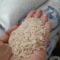 برنج کامفیروزی درجه یک وخوش طعم