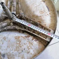 تعمیرات لباسشویی اتوماتیک و دوقلو کولر و...|خدمات پیشه و مهارت|یاسوج, |دیوار