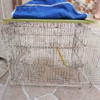 قفس پرنده|لوازم جانبی حیوانات|برازجان, |دیوار