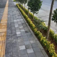 خدمات باغبانی هرسکاری کودهی گلکاری.متخصص.گلدون|خدمات باغبانی و درختکاری|تهران, نیروی هوایی (پیروزی)|دیوار