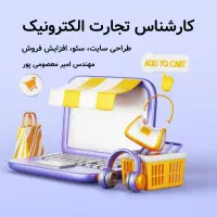 کارشناس تجارت الکترونیک
