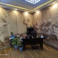 حسابدار خانم