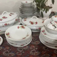 گلسرخی ژاپنی و ایرانی