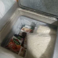 فریزر صندوقی|فروشگاه و مغازه|زابل, |دیوار