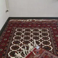 فروش انواع فرش دستباف ترکمن|فرش|تهران, فردوسی|دیوار